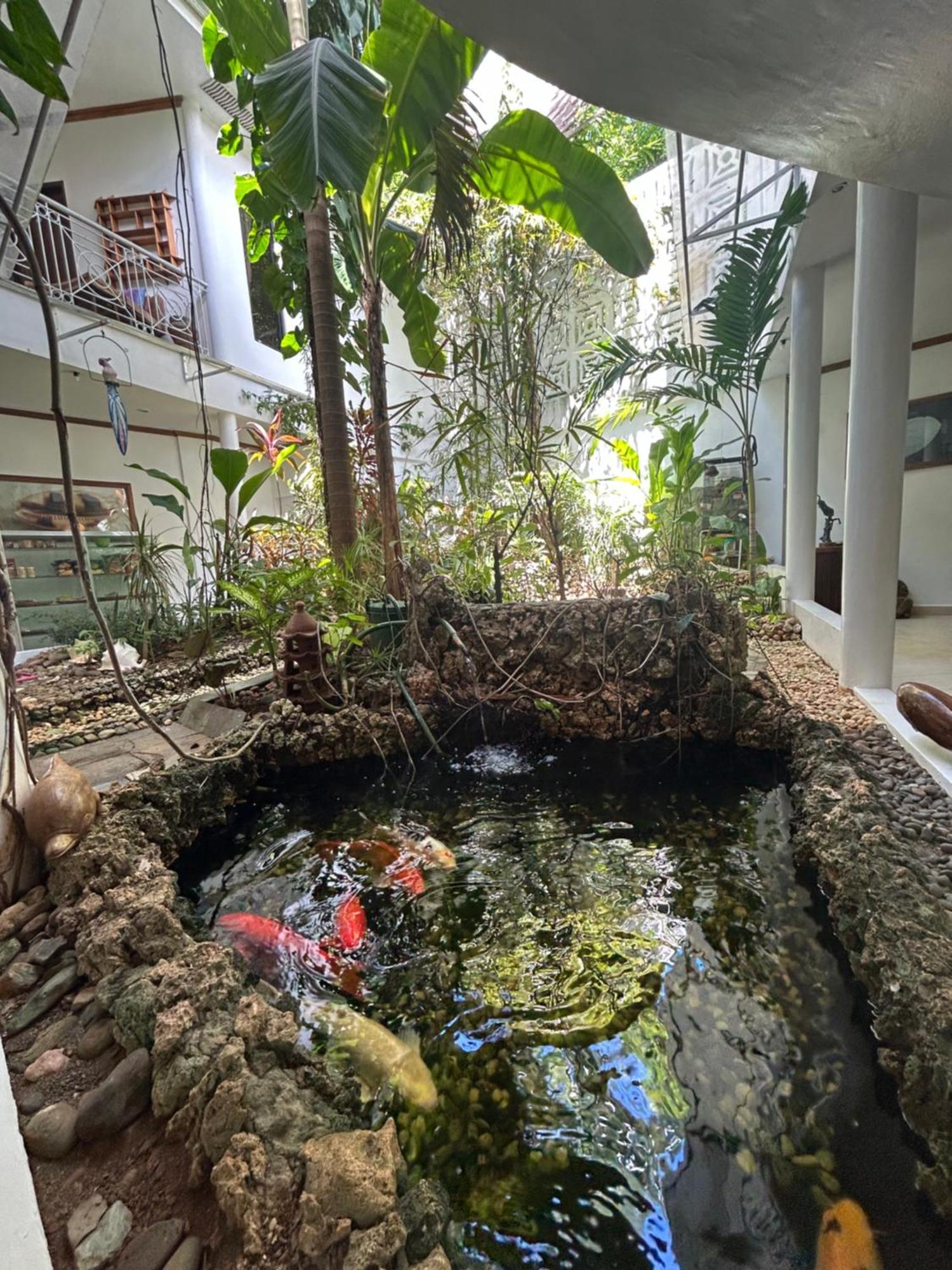 Argonauta Boracay Apartment Suites And Villas Boracay Island Extérieur photo